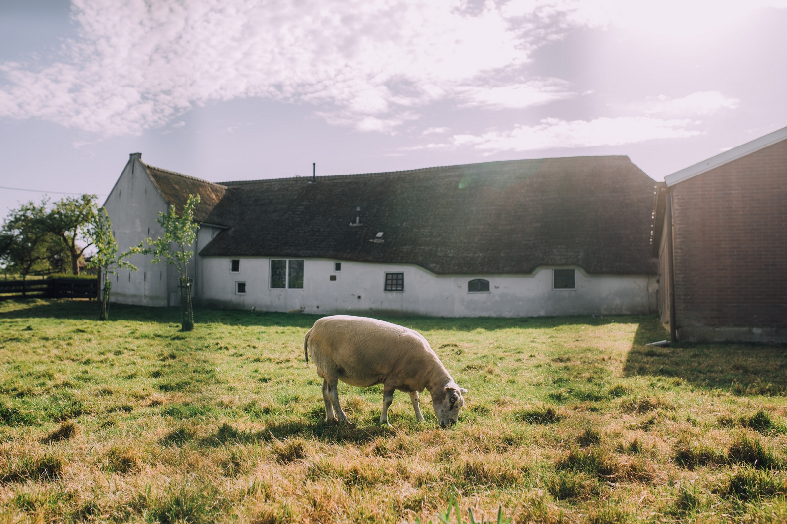 Boerderij