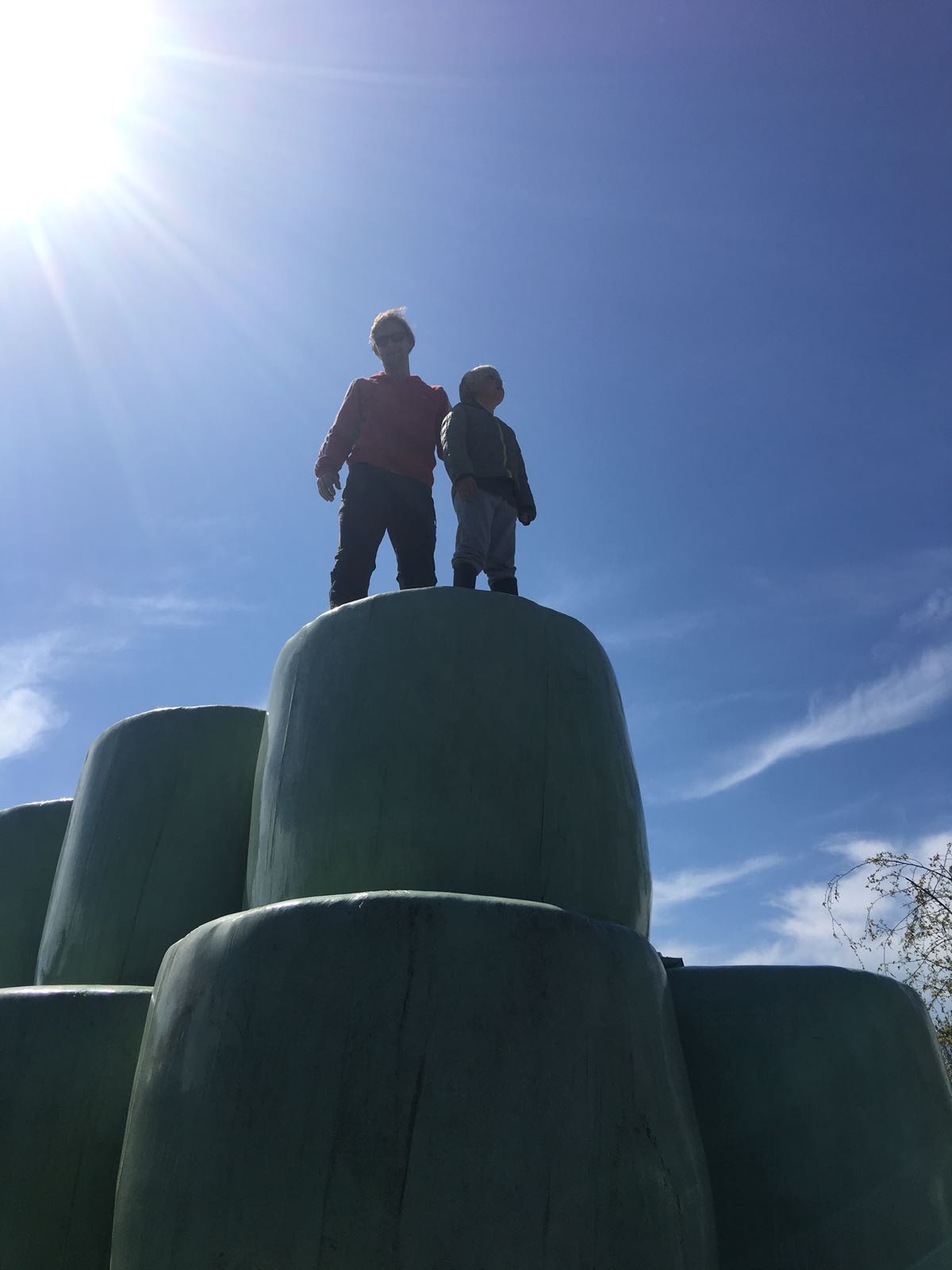 Natuur